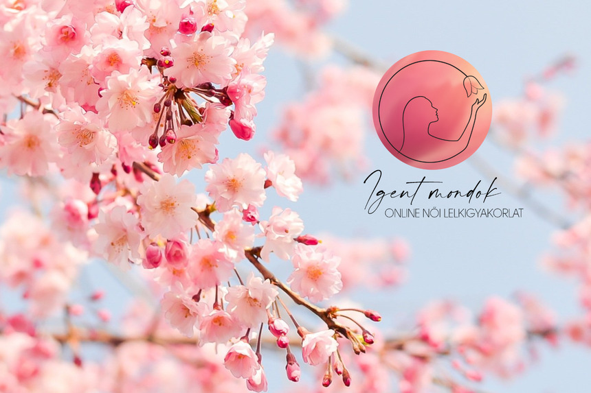 Igent mondok női lelkigyakorlat