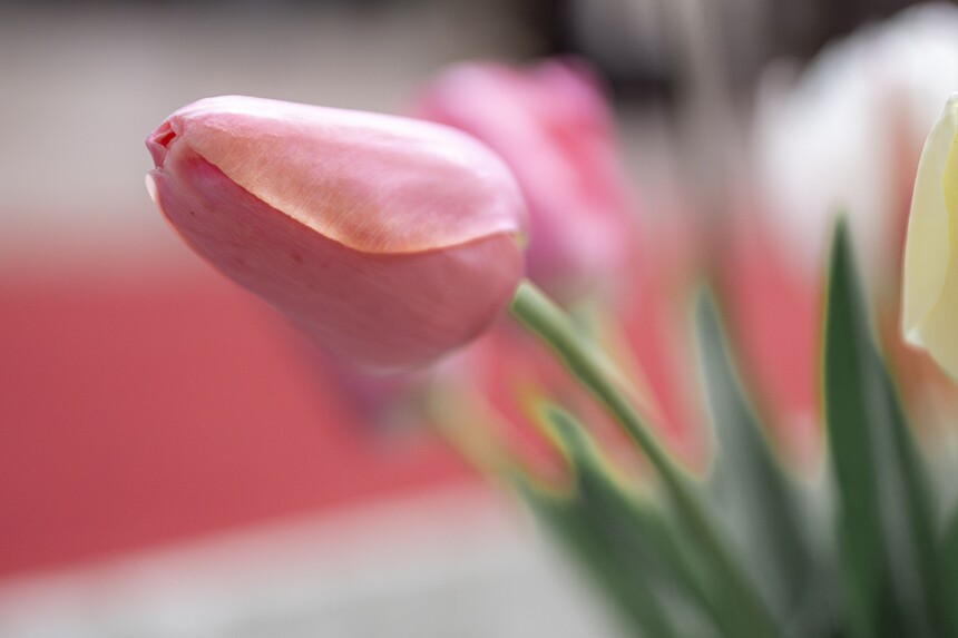 A lelkigyakorlat nyomtatható anyagai 2025